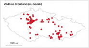 Rozšíření zednice dvoubarvé (Osmia bicolor) v České republice. Orig. P. Bogusch