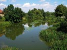 Pomalu tekoucí řeky s bahnitým dnem jsou ideálním prostředím pro řadu vodních a mokřadních rostlin včetně ze­varu vzpřímeného (Sparganium erectum). Řeka Cidlina u Libice nad Cidlinou