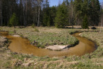 Revitalizovaný potok Hučina vrácený do původního koryta (2019). Foto I. Bufková