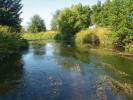 Ukázka různých typů biotopů, ve kterých byli nalezeni vodnářkovití – řeka Chrudimka u Tuněchod. Foto J. Špaček