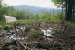 Ukázka dalších typů prameništních slatinišť Západních Karpat. Lesní iniciální pěnovcové prameniště s Malaiseho pastí pro odchyt hmyzu. Foto J. Bojková