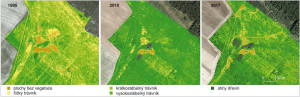 Ztráta a obnovení různorodosti nelesní vegetace na příkladu severo­západní části bezlesí Traviny. Podle automatické klasifikace leteckých snímků  (K-means): 1995 – dosud zachovaná část heterogenity krátce po odchodu armády; 2010 – její ztráta na vrcholu bezzásahového období 20 let po ukončení činnosti armády; 2017 – obnovená heterogenita rok a půl po zavedení přirozené pastvy velkých kopytníků. Patrné je poněkud geometrické rozložení různorodosti  reflektující provoz těžké techniky (1995) a obnovení heterogenity trávníků a ploch bez vegetace vlivem přirozené pastvy (2017). Orig. M. a D. Jirků