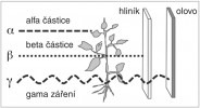 Schéma znázorňuje zachycení  jednotlivých druhů záření konkrétními materiály: alfa záření zachyceno již listy rostlin, beta záření hliníkovým plechem a gama záření vrstvou olova.