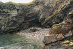 Mořská jeskyně Cove Bay se specifickým mikroklimatem u Aberdeenu hostí dosud bohatou tetraploidní populaci puchýřníku hladkého (Cystopteris dickieana).  Foto L. Ekrt 