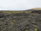 Vedoucí biologických expedic na Surtsey a zakladatel Surtseyské vědecké společnosti Borgþór Magnússon při mapování zdejší vegetace. Každoročně jezdí na Surtsey od r. 1990.  Foto J. Grétarsdóttir