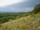 Druhově bohaté teplomilné úzkolisté suché trávníky na jižním úbočí vrchu Doutnáč, lokalita mnoha botanických a ekologických studií, leží od r. 2004 v bezzásahové oblasti. Foto P. Špryňar
