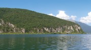 Strmé západní pobřeží jezera neumož­ňuje vytvoření rozsáhlejších rákosin.  Na břehu jsou dominantní porosty vrb. Foto L. Adamec