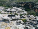Specifický maltský biotop – skalní tůňky Rock Pools – mělká periodická jezírka na okrajových skalních plošinách nad fjordem Mgarr ix-Xini na ostrově Gozo jsou stanovištěm vzácných vodních rostlin tučnice Crassula vaillantii  a endemického úporu Elatine gussonei. Foto J. Čeřovská