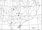 Mapa potvrzených výskytů borovice Fenzelovy (Pinus fenzeliana), pravá šipka označuje typovou lokalitu na ostrově Chaj-nan, levá výskyt v pohoří Pha Luong v severním Vietnamu, odkud byl tento druh popsán  jako P. cernua. Prázdné kroužky značí  nepřesně lokalizované výskyty  podle čínských herbářových dokladů. Orig. R. Businský