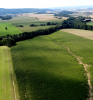 Současná krajina v místech obory Dolní Roveň. Pohled na břehové porosty potoka Židelná. Fotografie pochází z r. 2021. Foto P. Dujka