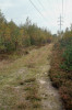 Lokalita zápřednice křovinné a z. zelenavé severně od Bezděkova u Pardubic. Foto J. Dolanský