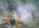 Experimentální hnojení pokusného pozemku posunováním válce zapálených větví po povrchu. Forchtenberg, Německo (2012). Foto D. Dreslerová