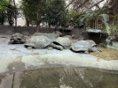 Pavilon velkých želv v Zoo Praha. Foto P. Velenský 