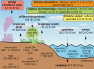 Schéma globálního cyklu uhlíku na Zemi. Množství v jednotlivých rezervoárech je uvedeno v gigatunách (Gt; Gt =  Pg = 1015 g). Uvedené schéma je pouze jedním z možných, různí autoři odhadují zásoby i přenosy C odlišně. V základních rysech se ale shodují, včetně „přebytku“ globální bilance v posledním období v rozsahu asi 3–5 Pg C/rok,  který se projevuje nárůstem množství  C v atmosféře. Upraveno podle:  W. H. Schlesinger (2002) a S. Killops a V. Killops (2005), údaje podle posledních dostupných globálních odhadů,  viz P. Friedlingstein a kol. (2020)