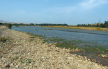 Proudný přítok Debeda v systému řeky Kury (Ázerbájdžán), kde žijí parmy středoasijské (Luciobarbus mursa) i p. balúčistánské (Capoeta capoeta). Foto Z. Musilová