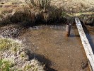 Hartoušovské mofety. Jezírka s vysokým obsahem oxidu uhličitého u Chebu. Foto A. Nováková