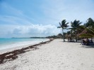Pláž Acumal na poloostrově Yucatán v Mexiku je příkladem extrémního  zasoleného a výhřevného prostředí, z něhož byly izolovány extremofilní houby. Foto A. Nováková