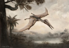 Pterosaur Pterodactylus (Diopece phalus) kochi. Svrchní jura, před asi 145–150 miliony let. Rozpětí křídel dosahovalo necelého 1 m. Fosilie pocházejí z vápenců v Solnhofenu, Německo. Autor malby P. Modlitba, foto V. Hnátek