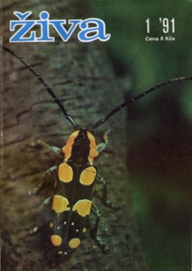Obálka časopisu Živa 1991/1
