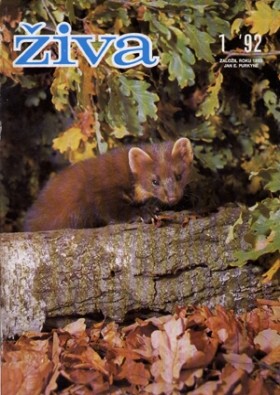 Obálka časopisu Živa 1992/1