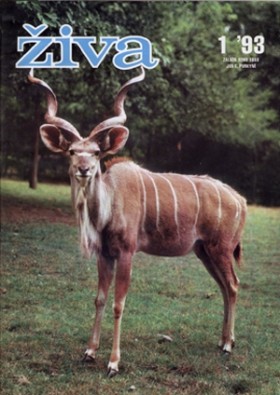 Obálka časopisu Živa 1993/1