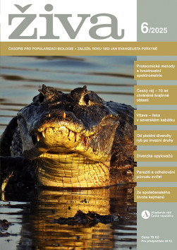 Obálka časopisu Živa 2025/6
