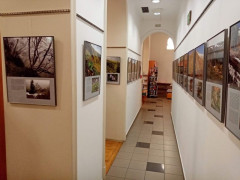 Výstava v prostorách Literární kavárny knihkupectví Academia. Foto: Andrej Funk