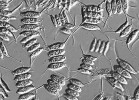 Příklady indukovaných obranných struktur u zástupců sladkovodního planktonu. Řasa řetízkovka (Scenedesmus) v reakci na filtraci zooplanktonem zvětšuje kolonie (cenobia) znásobením počtu buněk nebo jejich zvětšením, a také vytváří nebo prodlužuje ostny v rozích kolonie. Foto P. Znachor