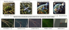 Základní typy platforem pro dálkový průzkum fotosyntetické aktivity vegetačního pokryvu Země. Každá platforma umožňuje pořizování dat v různém prostorovém a časovém rozlišení. Zatímco údaje z dronů a letecká data jsou vhodné pro podrobnější analýzu menších zájmových území, družice přinášejí globální pokrytí v prostorovém detailu desítek až stovek metrů na pixel. Převzato z L. Homolová a kol. (2024); vlastní metodika autorů