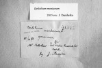V červenci 1891 o prázdninách mezi sekundou a tercií si ani ne třináctiletý Josef Podpěra sebral v Mladé Boleslavi do herbáře mimo jiné vrbovku horskou (Epilobium montanum). Položka je uložena v herbáři Masarykovy univerzity (BRNU).