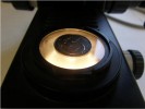 Mince umístěná na zdroji světla k dosažení efektu temného pole. Používá se obvykle u mikroskopů, jejichž kondenzor neumožňuje upevnění stínítka. Vertikálním posunem kondenzoru (pokud je možný) a volbou správného průměru mince však lze u většiny mikroskopů docílit podobného, i když často  ne tak efektního optického jevu jako v případě komerčně dodávaných clon. Foto J. Bulantová