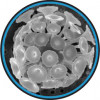 Mikro- a nanoplankton – kokolitka  Discosphaera sp. (Coccolithophorida). Foto: planktomania.org, se svolením