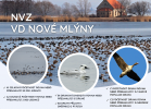 Vodní dílo Nové Mlýny představuje významné zimoviště pro vodní ptáky podle národních i mezinárodních  kritérií. Podle: https://www.waterbirdmonitoring.cz/metodiky_cert/