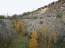 Skalní řícení po nepovedeném odstřelu v lomu na Chlumu u Srbska se přirozeně revitalizuje. Najdeme zde již náročné epilitické druhy i obyvatele skalních stepí. Foto L. Juřičková