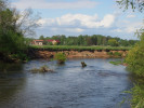 Meandry řeky u Bělče nad Orlicí, s břehem odkrytým boční erozí. Foto R. Prausová