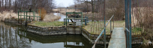 Dvořiště je nejstarší rybník na Třeboňsku. Do původního  přirozeně meandrujícího koryta je zde svedená i Zlatá stoka, voda do Káňova  se přepouští spodní výpustí. Foto T. Kučera