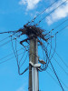 Hnízda na sloupech pod napětím jsou rizikem pro čápy i samotnou  distribuci elektřiny. Foto L. Viktora