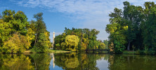 Anglický park u Lednického zámku s množstvím osamoceně stojících osluněných stromů nabízí příhodné biotopy hmyzu a dalším bezobratlým. Foto J. Miklín